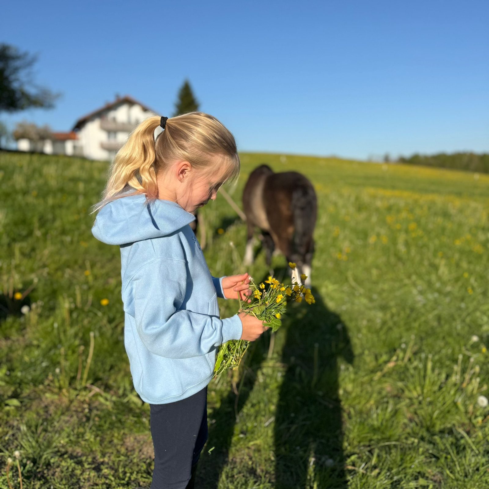 Komm gleich bin im Stall – Hoodie – Ansicht 5